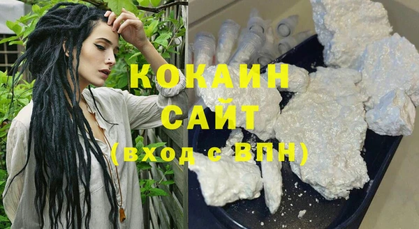 гашик Кодинск