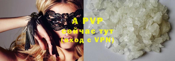 молекула духа Козельск