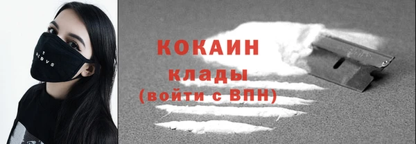 молекула духа Козельск