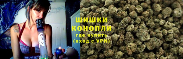 гашик Кодинск