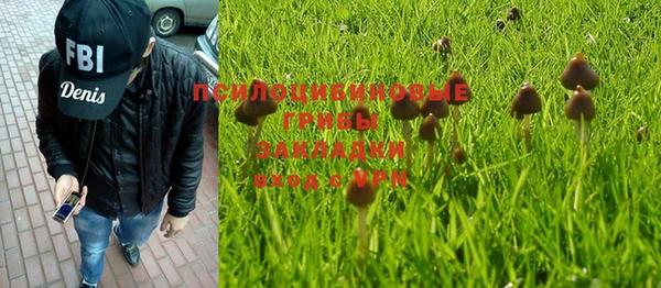 герыч Козловка
