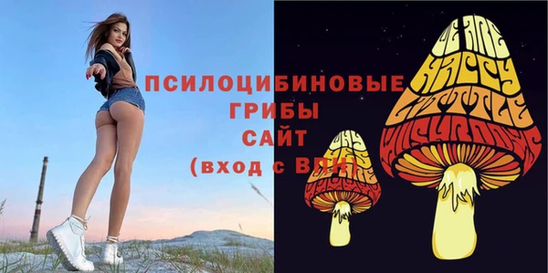 герыч Козловка