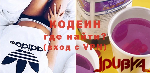 молекула духа Козельск